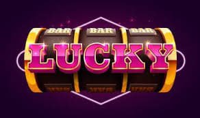 4999 bet app